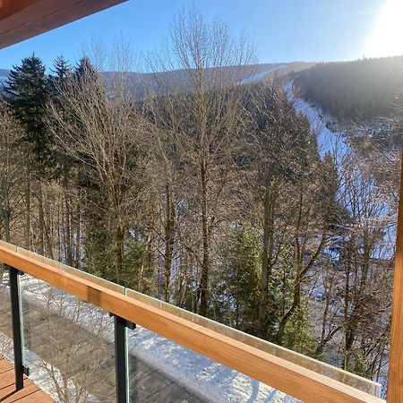 Avenue Chalet Špindlerŭv Mlýn Kültér fotó